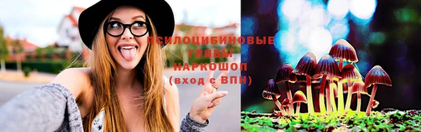 PSILOCYBIN Абаза
