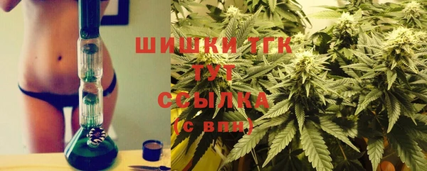 PSILOCYBIN Абаза