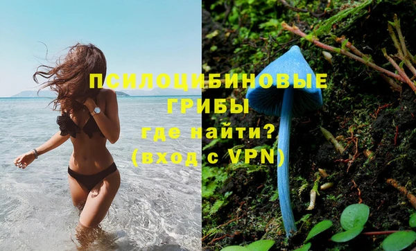 PSILOCYBIN Абаза